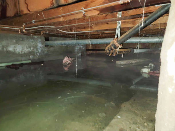 Best Commercial water damage restoration  in Averill Park, NY