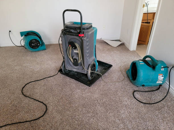 Best Flood restoration services  in Averill Park, NY