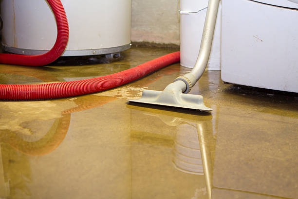 Best Water damage contractors near me  in Averill Park, NY