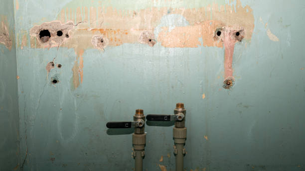 Best Mold removal after water damage  in Averill Park, NY